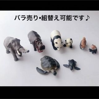 アニア(Ania（TAKARA Tomy）)のアニア　動物　まとめ売り　8体　美品　トミー　フィギュア　水生生物　恐竜　⑨(その他)