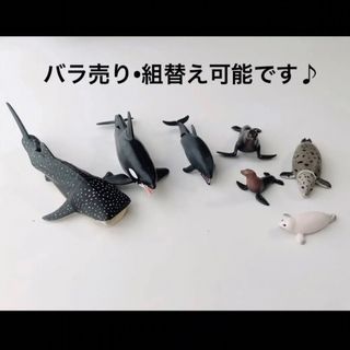 アニア(Ania（TAKARA Tomy）)のアニア　動物　まとめ売り　7体　美品　トミー　フィギュア　水生生物　恐竜　13(その他)