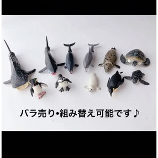 アニア(Ania（TAKARA Tomy）)のアニア　動物　まとめ売り　11体　美品　トミー　フィギュア　水生生物　恐竜　③(その他)