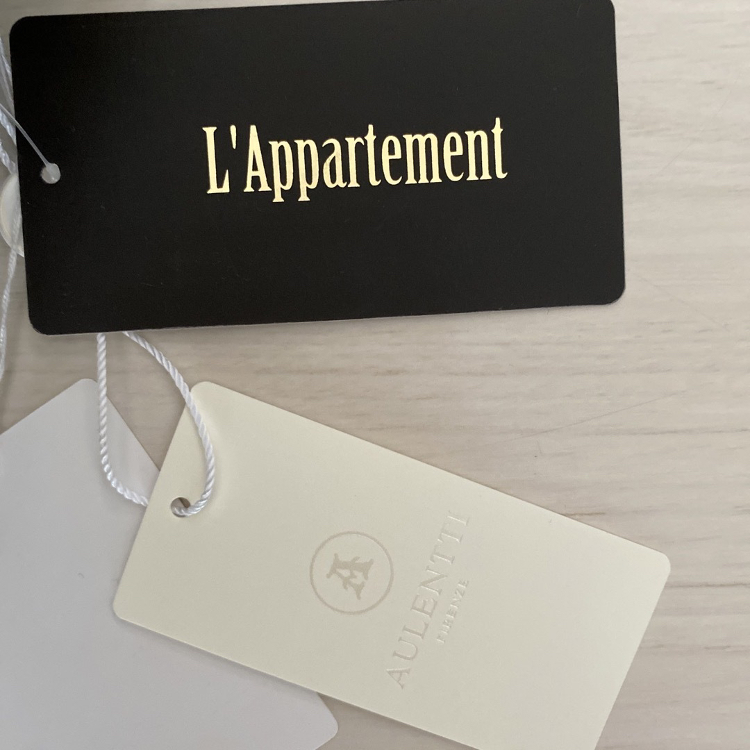 L'Appartement DEUXIEME CLASSE(アパルトモンドゥーズィエムクラス)の【新品】L’appartement AULENTTI チェーンバッグ レディースのバッグ(ショルダーバッグ)の商品写真