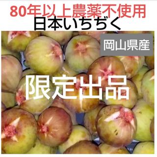 岡山県産 農薬不使用 自家栽培 日本無花果  いちぢく イチヂク 果物 いちじく(フルーツ)