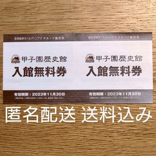 ハンシンタイガース(阪神タイガース)の【匿名配送・送料込み】甲子園歴史館　入館無料券　２枚(その他)