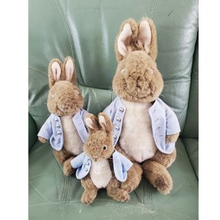 ピーターラビット(PETER RABBIT（TM）)のピーターラビット ぬいぐるみ　３点セット(ぬいぐるみ)