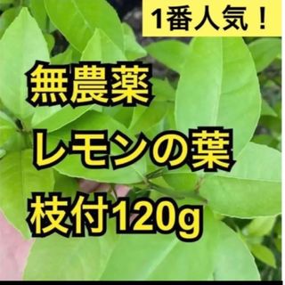 無農薬　レモンの葉　枝付120g(その他)