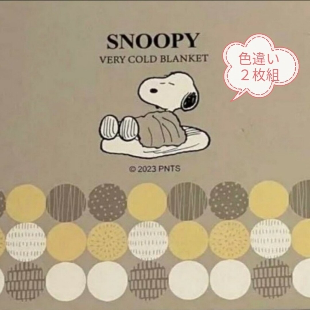 SNOOPY(スヌーピー)の⚠専用出品です⚠スヌーピー冷感ブランケット２枚組 エンタメ/ホビーのエンタメ その他(その他)の商品写真