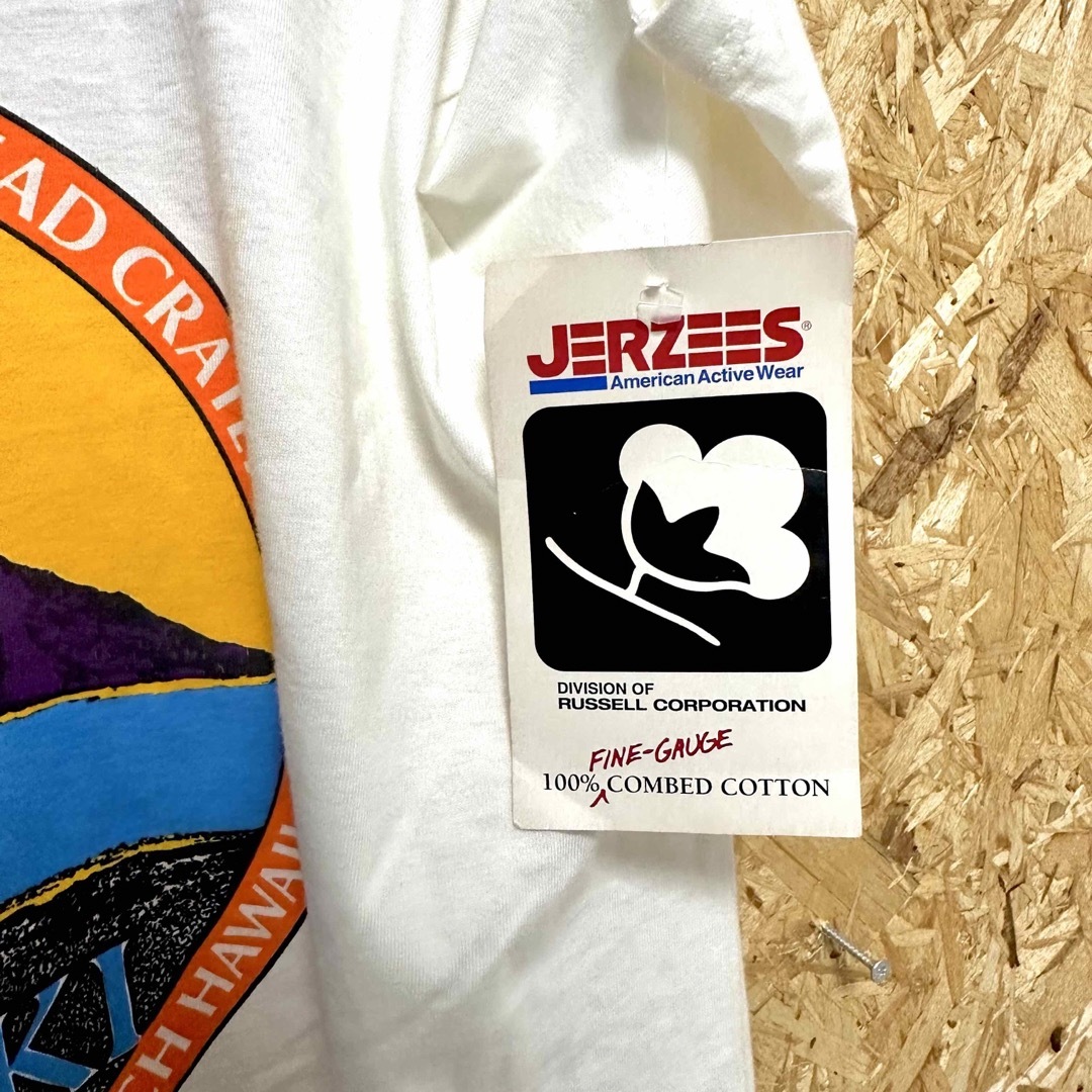 JERZEES(ジャージーズ)の【希少 L】80s JERZEES TEE USA MADE メンズのトップス(Tシャツ/カットソー(半袖/袖なし))の商品写真