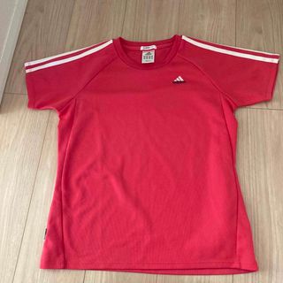 アディダス(adidas)のadidas レディースTシャツ サイズM(Tシャツ(半袖/袖なし))