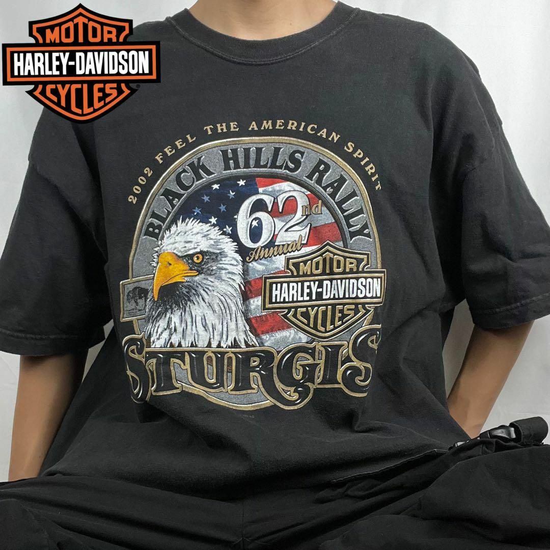 Harley Davidson(ハーレーダビッドソン)の【激レア】ハーレーダビッドソン Tシャツ イーグル ラシュモア山 2XL メンズのトップス(Tシャツ/カットソー(半袖/袖なし))の商品写真