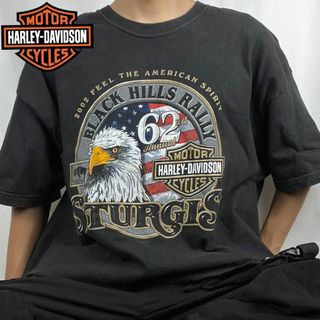 ハーレーダビッドソン(Harley Davidson)の【激レア】ハーレーダビッドソン Tシャツ イーグル ラシュモア山 2XL(Tシャツ/カットソー(半袖/袖なし))