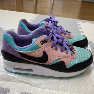 NIKE AIR MAX 1 ND　28.5cm　Have a Nike Day