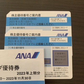 エーエヌエー(ゼンニッポンクウユ)(ANA(全日本空輸))のANA 株主優待券　2枚セット(その他)