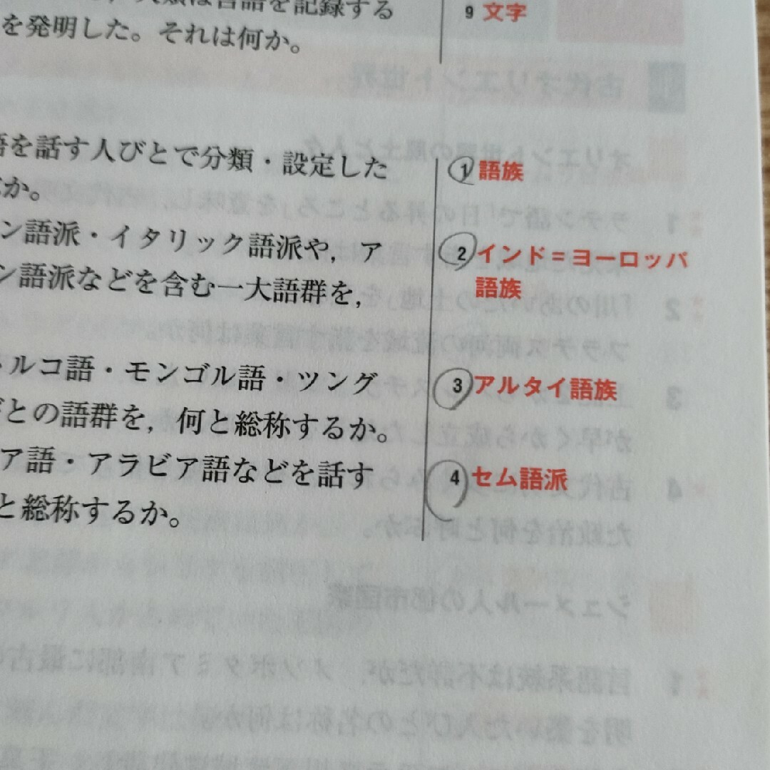 山川一問一答世界史 エンタメ/ホビーの本(語学/参考書)の商品写真