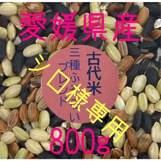 シロ様専用古代米3種ふぞろいブレンド　愛媛県産　800ｇ(米/穀物)