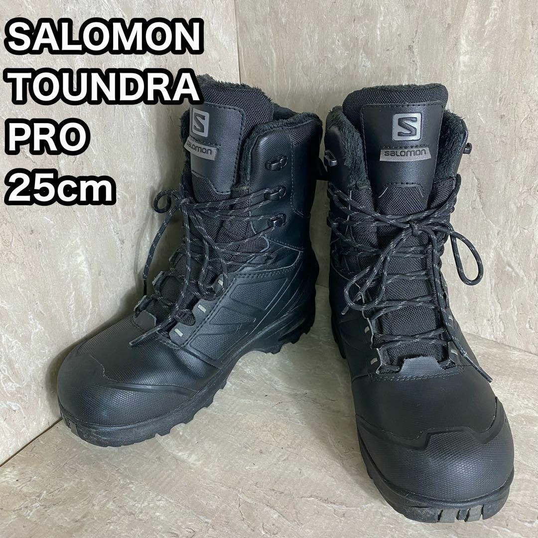 サロモン SALOMON TOUNDRA PRO CSWP　25cm