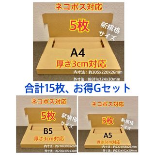 ★ ★新商品【200枚】新規格B5サイズ  ネコポス対応 段ボール箱