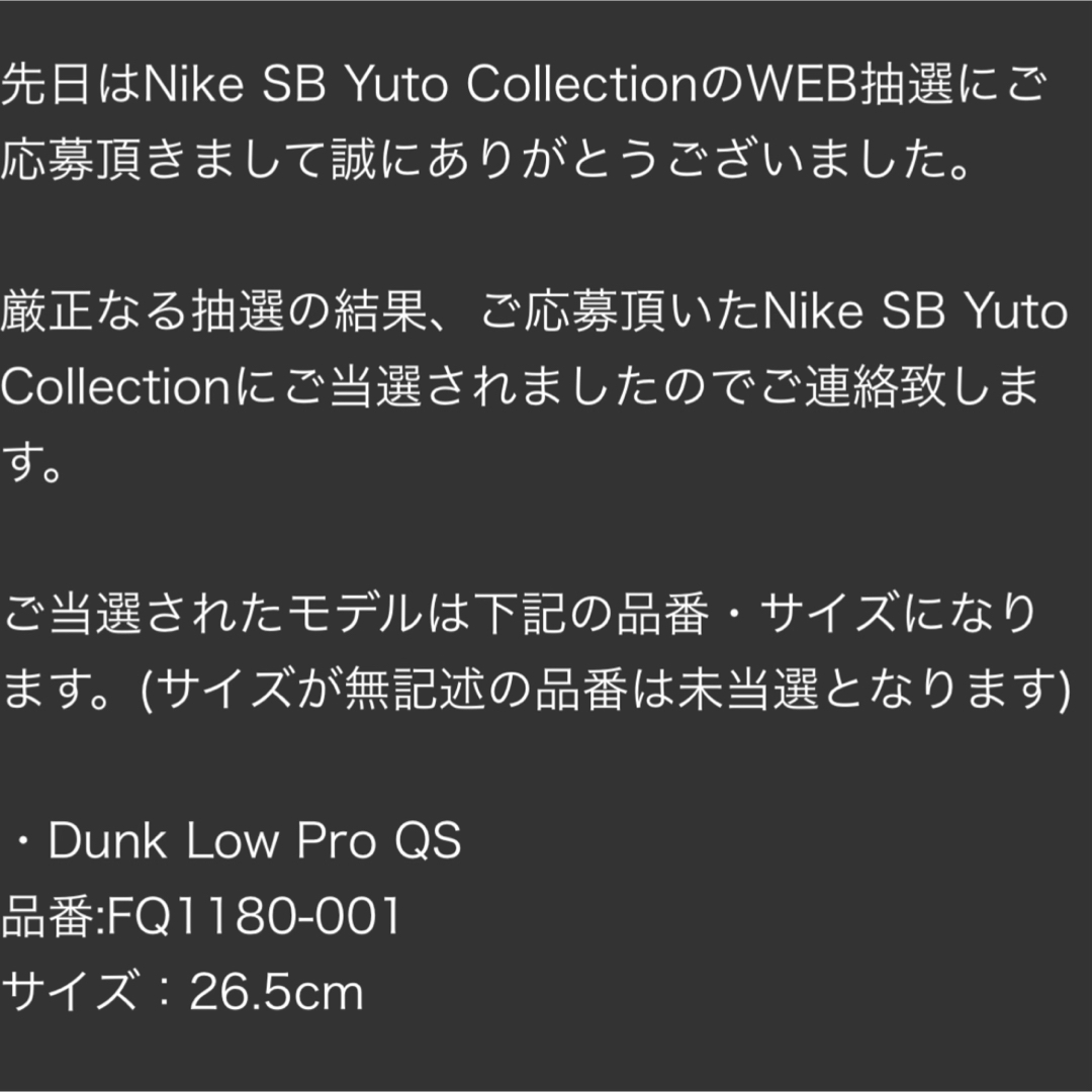 堀米雄斗Nike SB Dunk Low Pro QS Wolf Grey 3