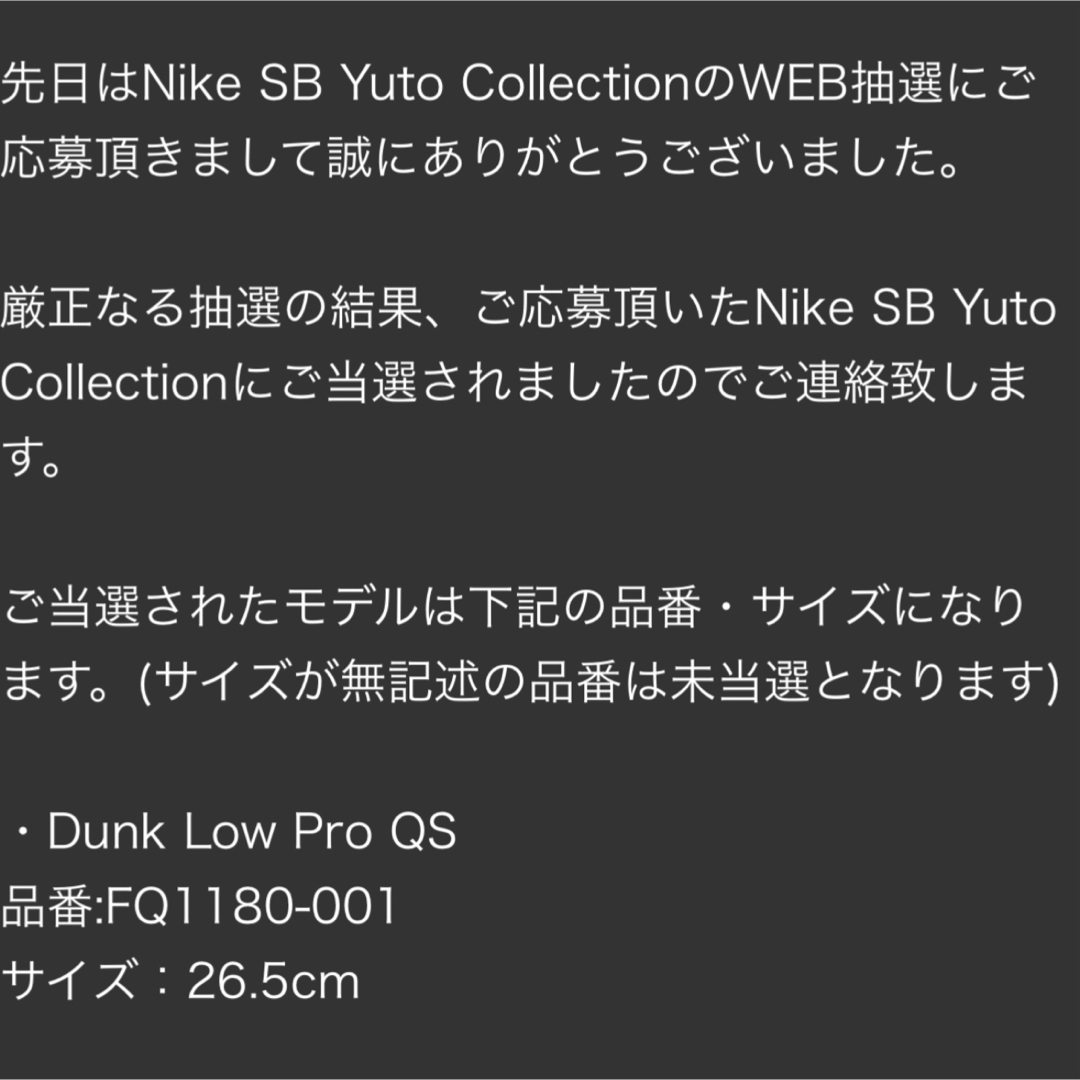 NIKE(ナイキ)の堀米雄斗Nike SB Dunk Low Pro QS Wolf Grey メンズの靴/シューズ(スニーカー)の商品写真