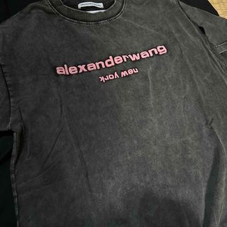 アレキサンダーワン(Alexander Wang)のAlexander wang Tシャツ(Tシャツ/カットソー(半袖/袖なし))