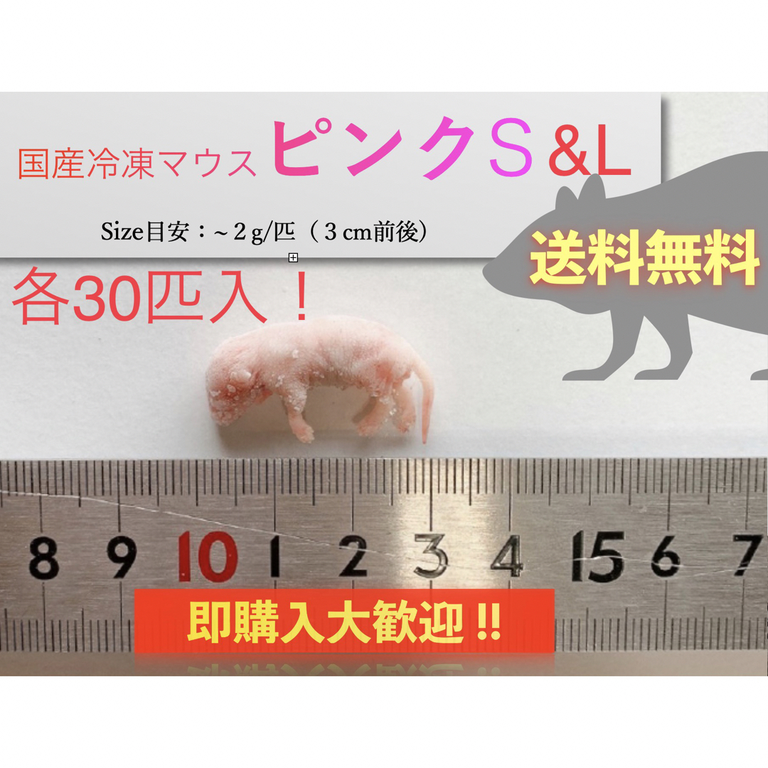 【地域限定送料無料】国産冷凍ピンクマウスS+L各30匹入@北海道・沖縄は別途送料