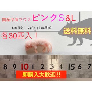 【地域限定送料無料】国産冷凍ピンクマウスS+L各30匹入@北海道・沖縄は別途送料(ペットフード)