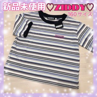 ジディー(ZIDDY)の新品、未使用☆ジディ☆ボーダー、半袖Tシャツ☆160サイズ(Tシャツ/カットソー)