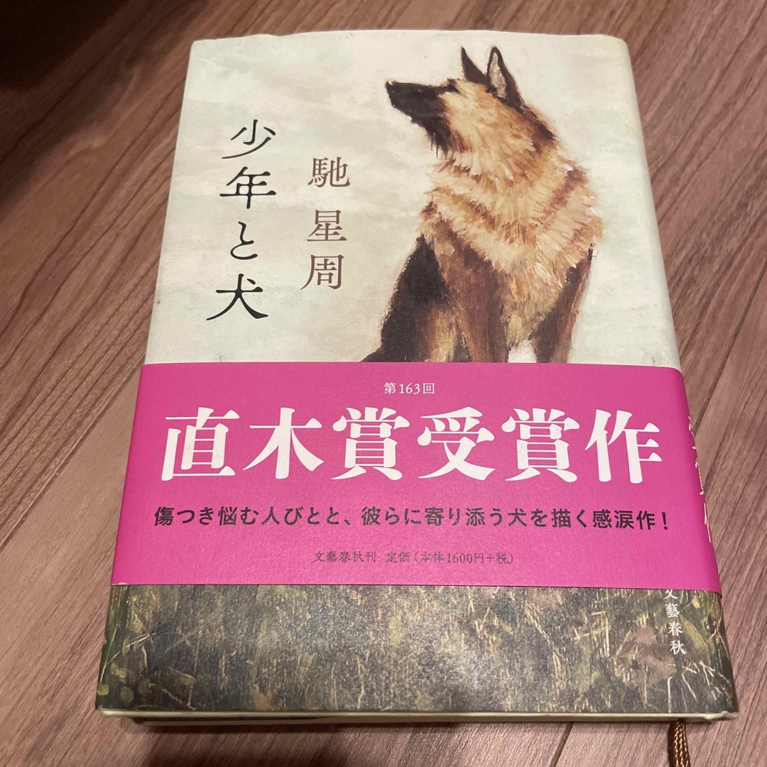 少年と犬 エンタメ/ホビーの本(その他)の商品写真