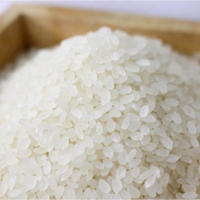 新米 ひとめぼれ 有機栽培 農家直送 玄米 精米10kg 食品/飲料/酒の食品(米/穀物)の商品写真