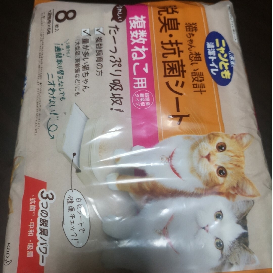 ペット用フードボウル(グリーン) その他のペット用品(猫)の商品写真