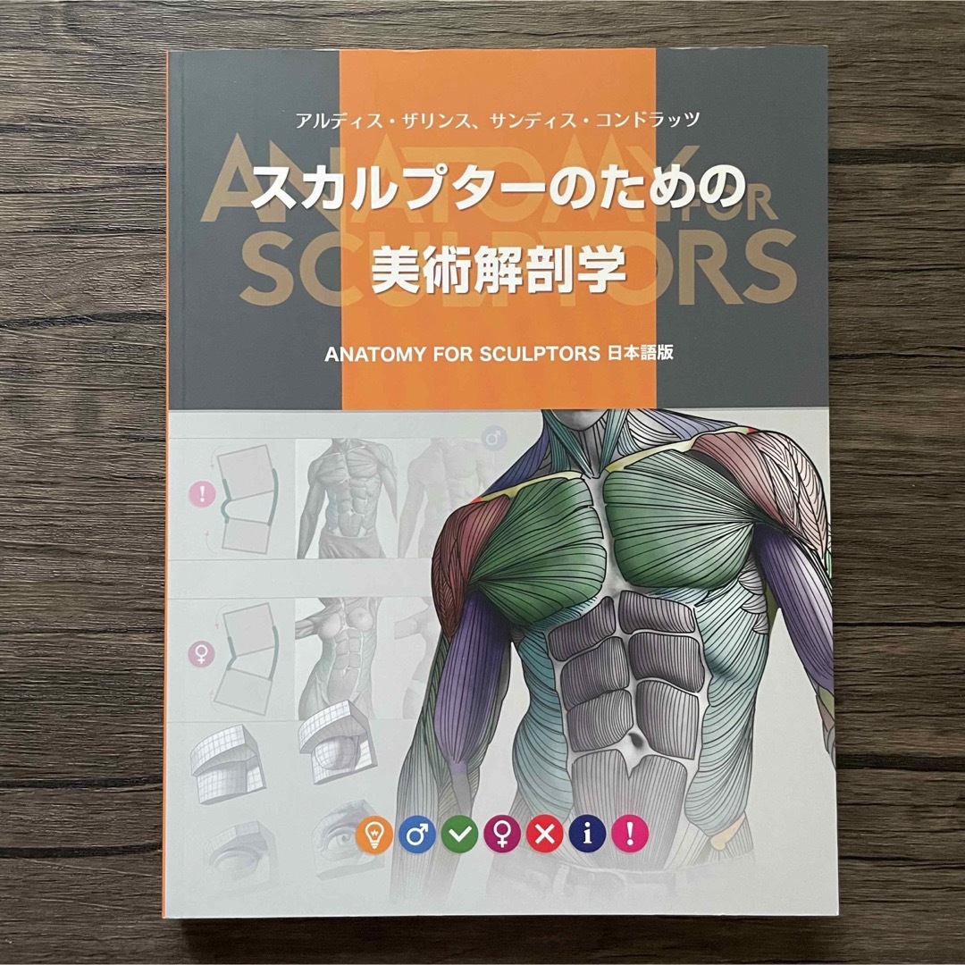 スカルプター のための美術解剖学の通販 by みみ's shop｜ラクマ