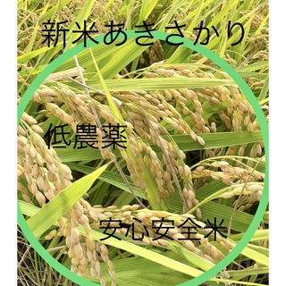 低農薬　令和4年産あきさかり　玄米10キロ(米/穀物)