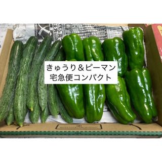 【お買い物マラソン応援価格】野菜詰め合わせ ピーマン 宅急便コンパクト(野菜)