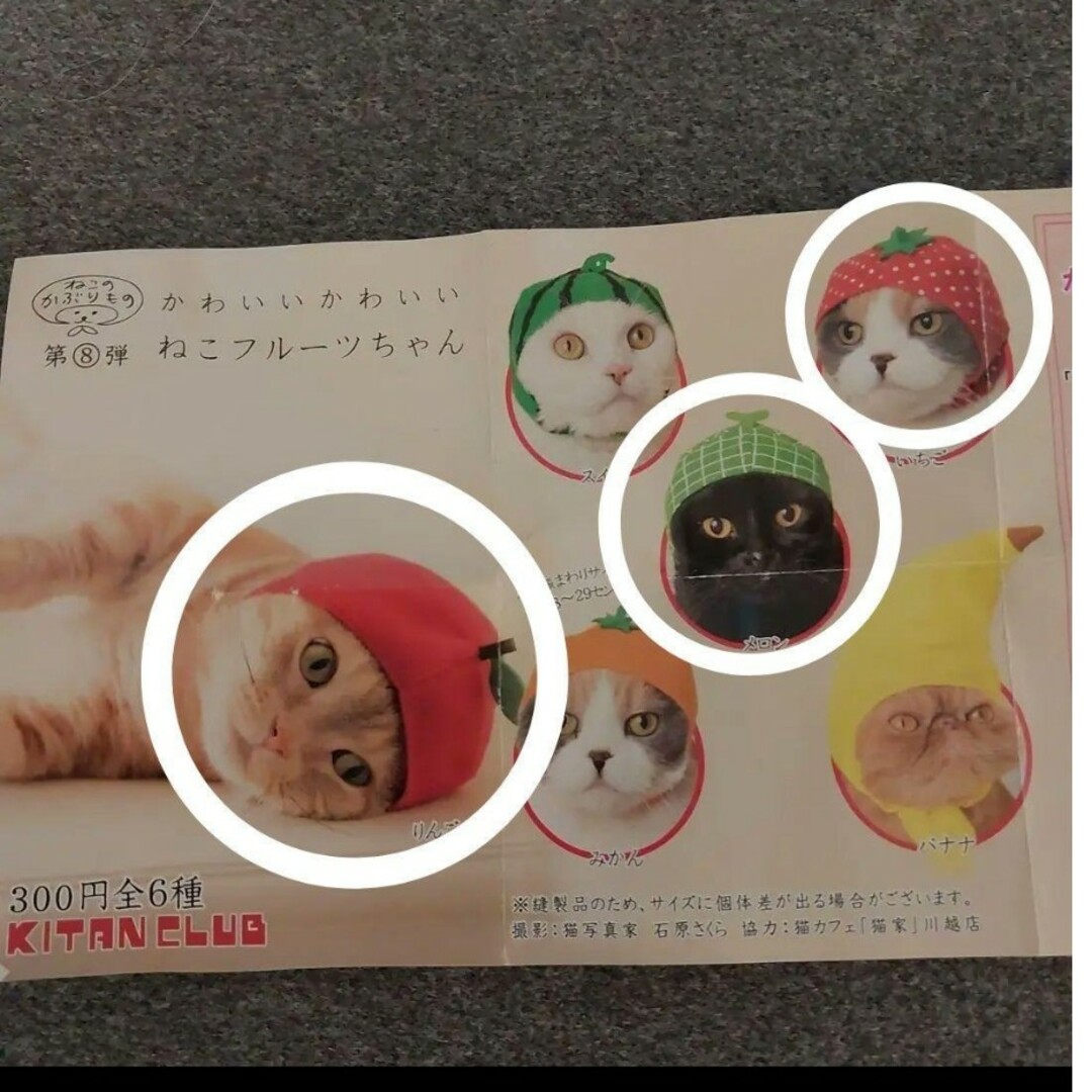 [新品] ねこのかぶりものシリーズ フルーツちゃん くまちゃん 4種類セット その他のペット用品(猫)の商品写真