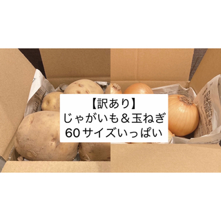 【訳あり】玉ねぎ＆じゃがいもセット　60サイズ　箱いっぱい(野菜)