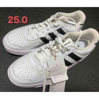 アディダス(adidas)の【未使用】adidas スニーカー　25.0(スニーカー)