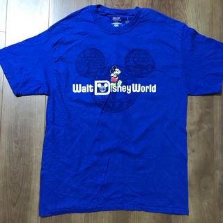 Disney Parks by Hanes knit