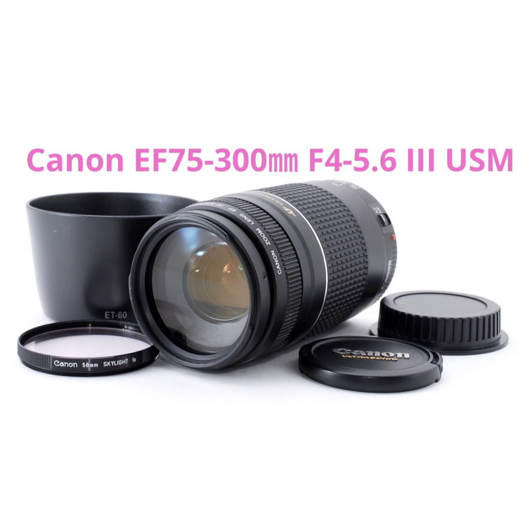 望遠 ズームレンズ 完動品☆ キヤノンCanon EF 75-300mm USM - レンズ 望遠 ズームレンズ 完動品☆ キヤノンCanon EF 75-300mm USM - レンズ