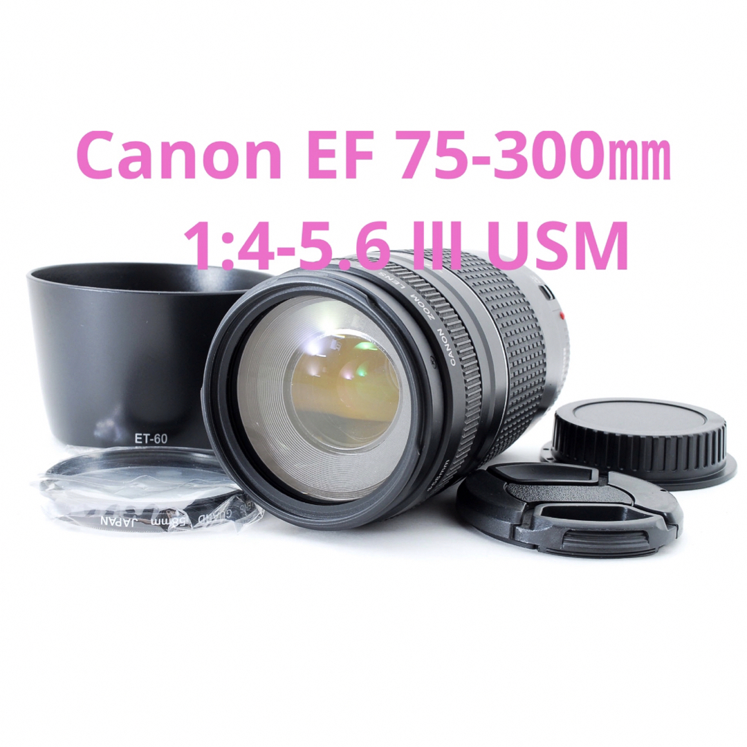 人気の望遠レンズ☆フード付き☆キヤノン Canon EF75-300㎜ - レンズ