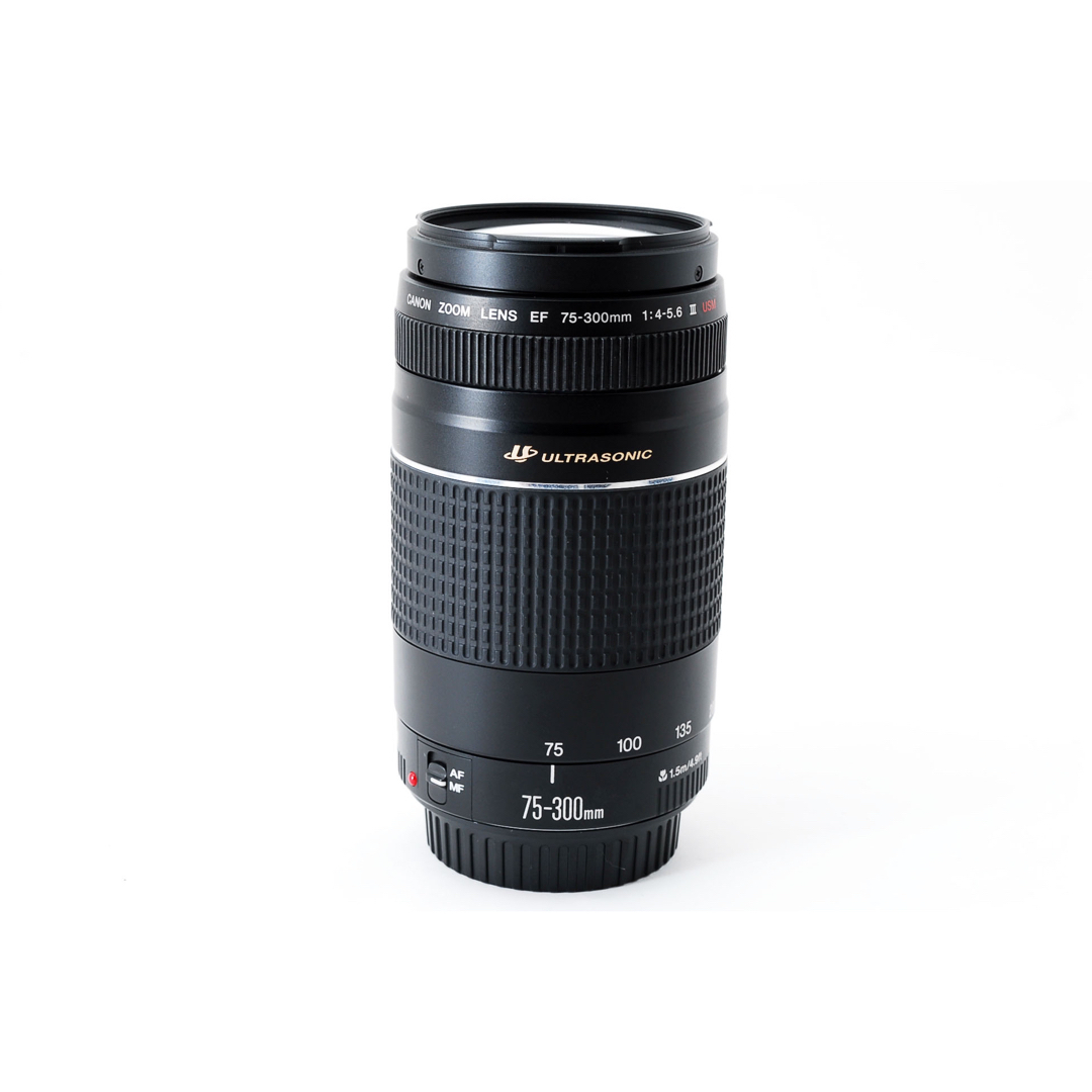 付属品付☆超望遠レンズ☆キャノン Canon EF75-300㎜ III - レンズ(ズーム)