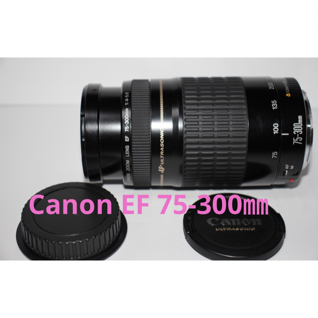 Canon キヤノン 望遠レンズ 100-300mm 迫力の300㎜！LENS