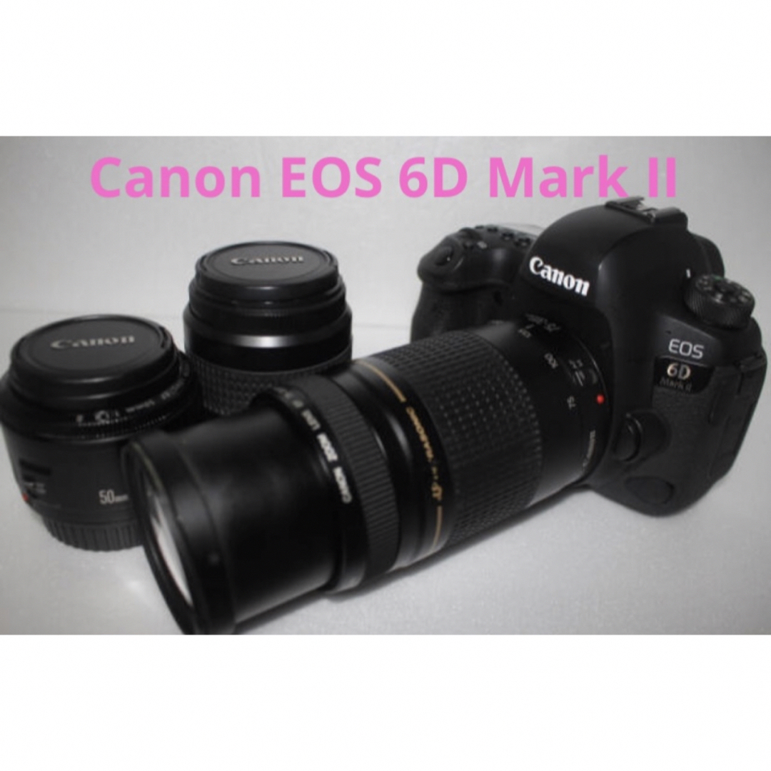 キヤノンCanon EOS 6D Mark IIトリプルレンズセット