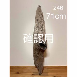 大型　流木【246】(置物)