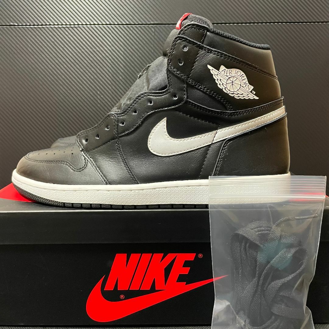 NIKE AIR JORDAN 1 HIGH OG 28.0cm - スニーカー