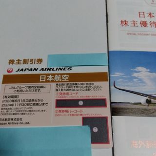 ジャル(ニホンコウクウ)(JAL(日本航空))のJAL　日本航空　株主優待(航空機)