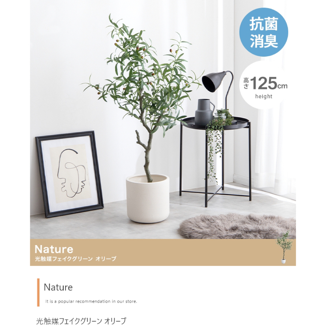 【送料無料】高さ125cm Nature 光触媒人工観葉植物 オリーブのサムネイル