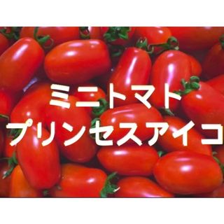 大人気プリンセスアイコ　皮薄い　新鮮　中小粒　箱込み800 g以上(野菜)