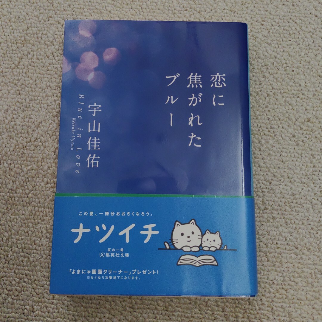 恋に焦がれたブルー エンタメ/ホビーの本(文学/小説)の商品写真