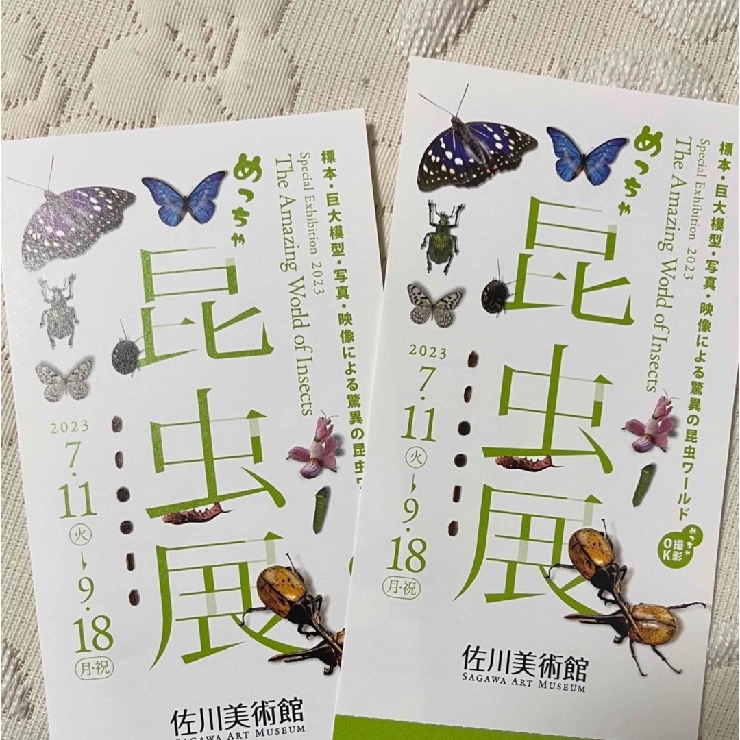 【在庫一掃】 佐川美術館 昆虫展 2枚