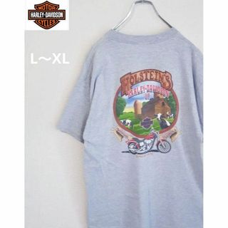 ハーレーダビッドソン(Harley Davidson)の2007s Harley-Davidson ハーレーダビッドソン　ポケットTEE(Tシャツ/カットソー(半袖/袖なし))