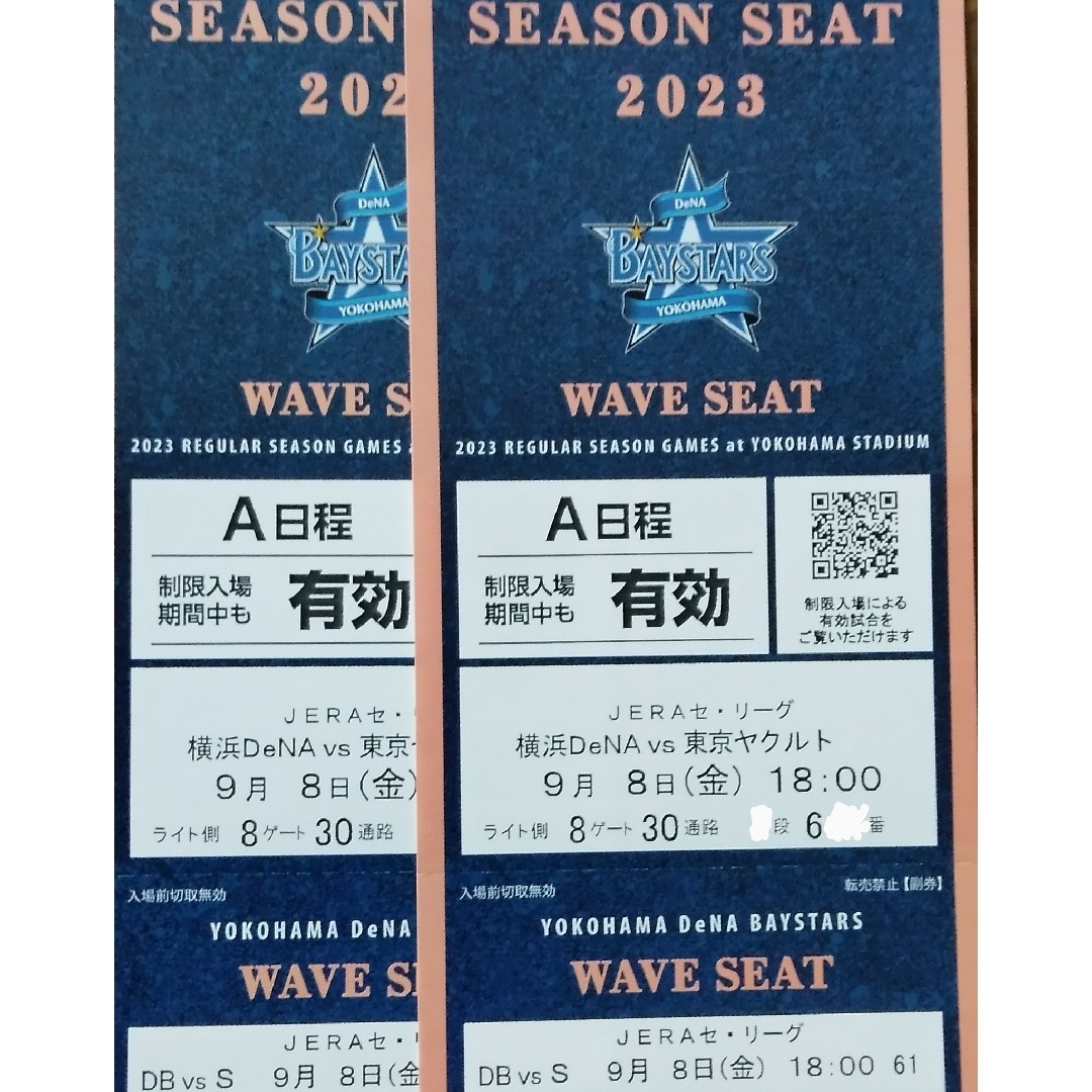 横浜DeNAベイスターズvsヤクルト9月11日(日)外野通路側含む2枚