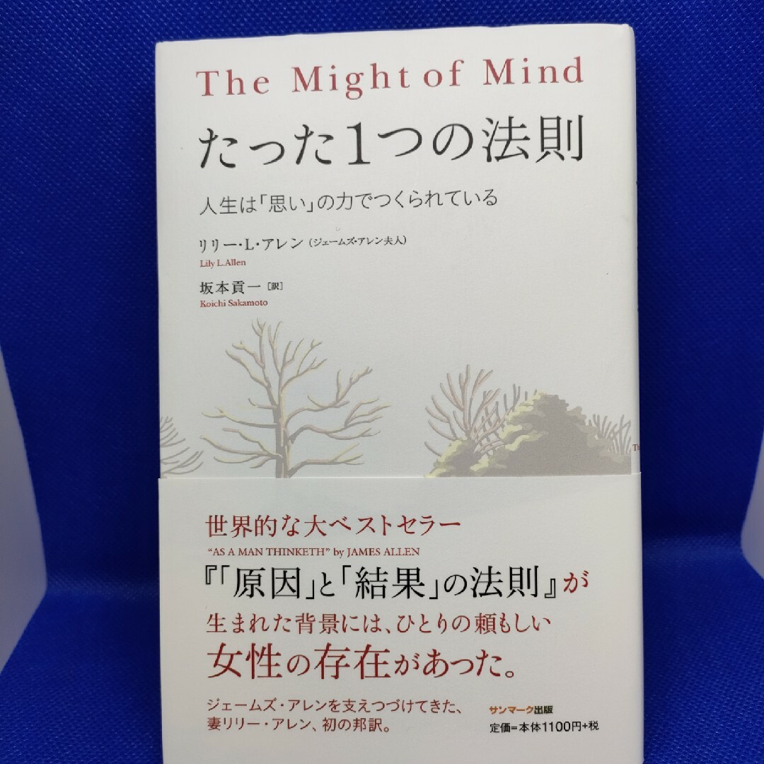 はしゃぎながら夢をかなえる世界一簡単な法・たった１つの法則　2冊 エンタメ/ホビーの本(ビジネス/経済)の商品写真